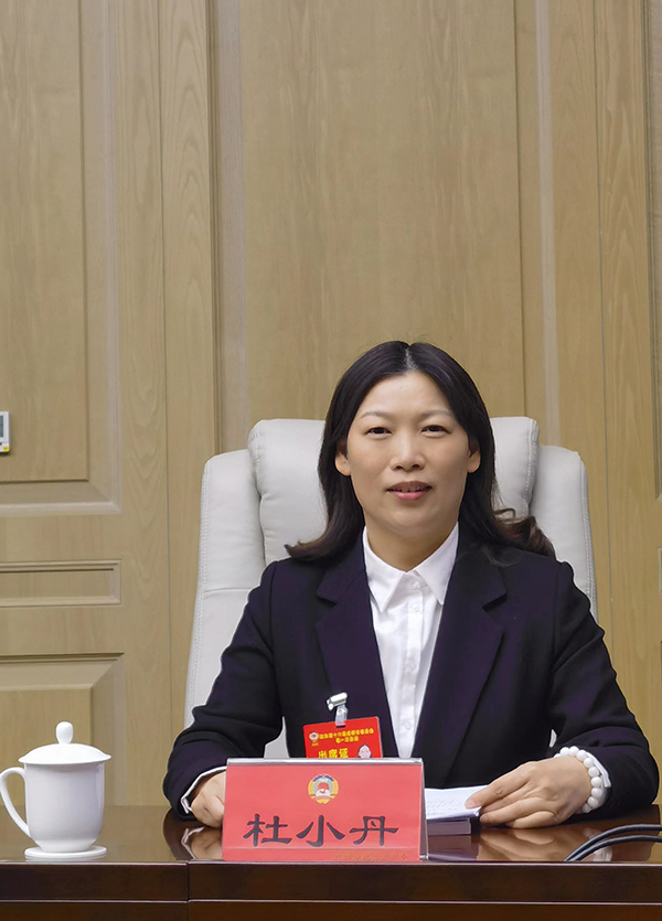 成都市政协委员杜小丹打破三大不平衡助推成都家庭教育之都建设