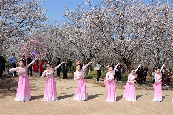 武汉江夏区：安山首届樱花节开幕_fororder_b709444358dcab715b70f0dc3352a17