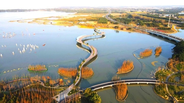 【图说上海】全国首例！上海青浦探索“碳汇认购” 推动建立长三角联合生态修复基地