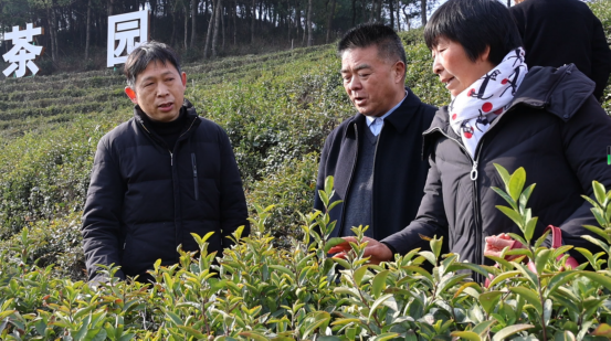 【原创】信阳市光山县：增技赋能促振兴 农民技能培训进行时_fororder__78910002