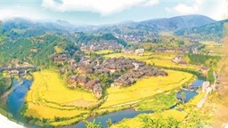 看广旅集团如何开拓幸福旅程