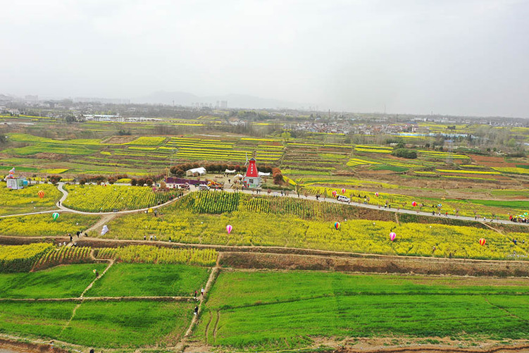 陕西：高铁“公交化”开行，穿越油菜花海