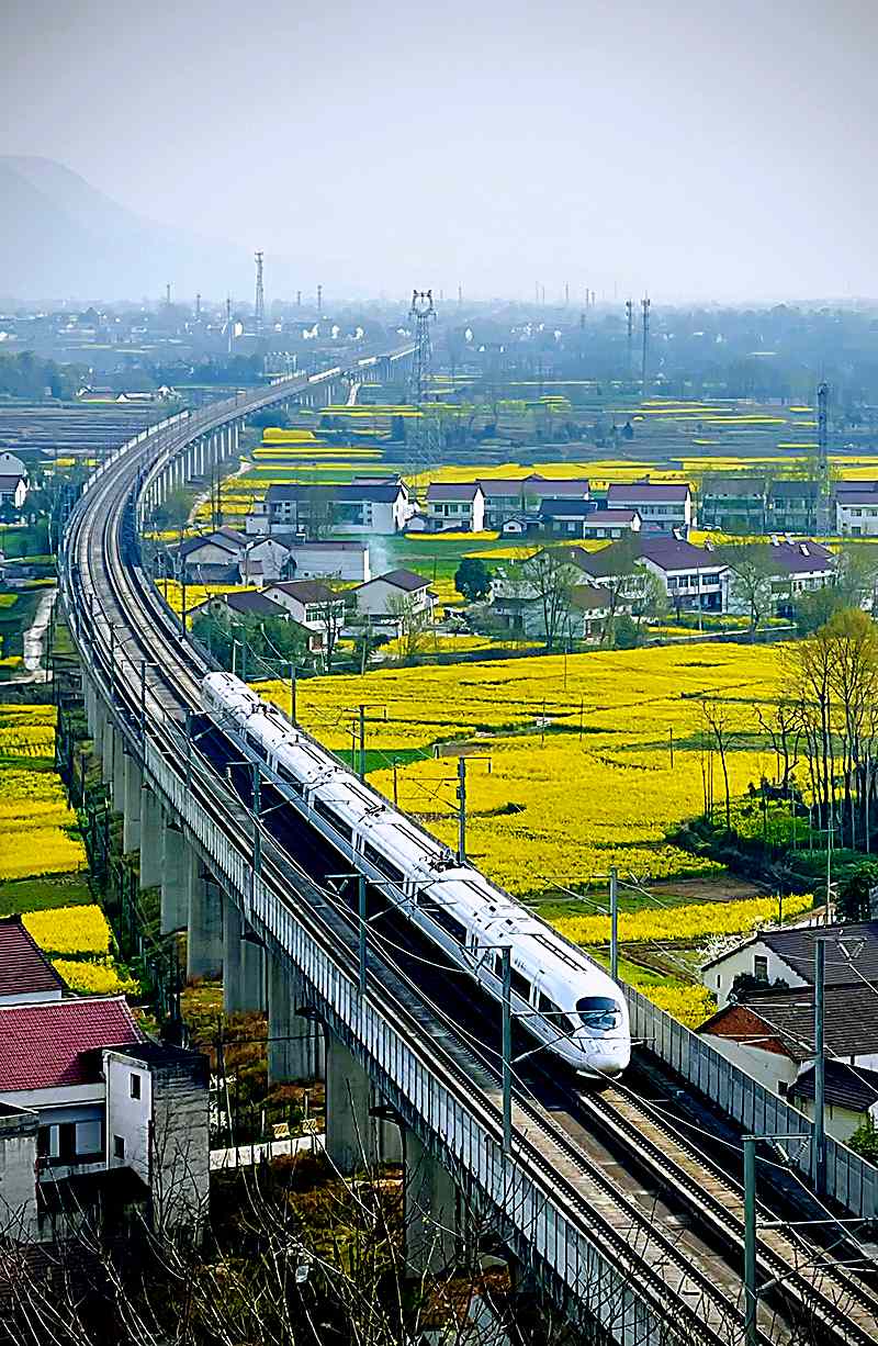 陕西：高铁“公交化”开行，穿越油菜花海