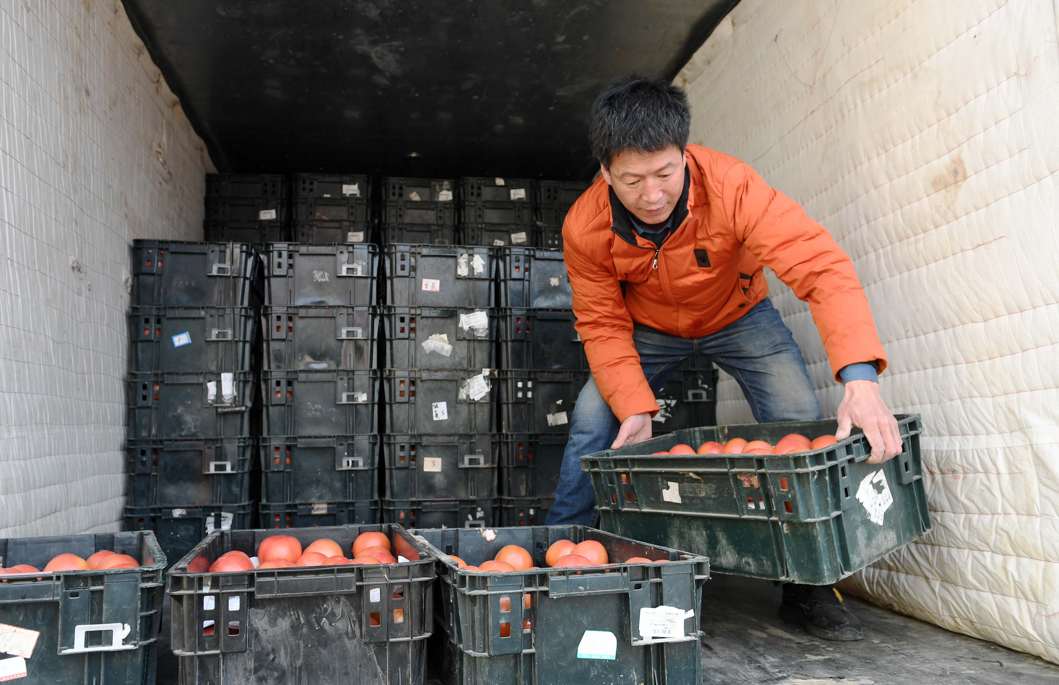 （原创）河北涿鹿：环京津精品果蔬基地鼓起农民“钱袋子”_fororder_微信图片_20230221115852