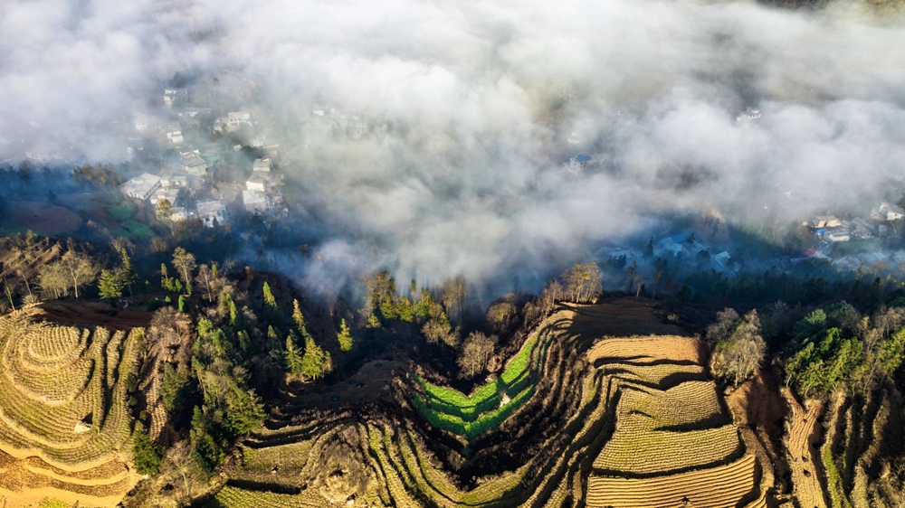 貴州鍾山：雲海翻涌 春景如畫_fororder_0220_1