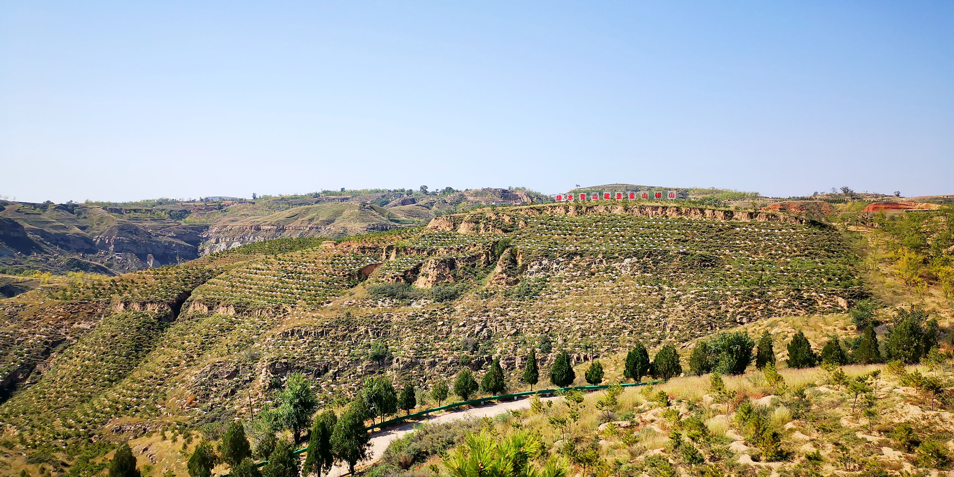 榆林府谷县：筑牢绿色屏障 厚植生态底色_fororder_高尧峁村沿黄石山区生态绿化建设项目--刘贺伟摄