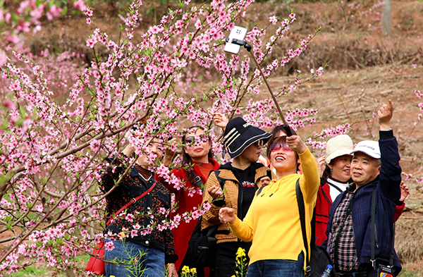 眉山仁寿：春暖桃花开 美景待客来_fororder_游客畅游桃花林-供图-仁寿县委宣传部