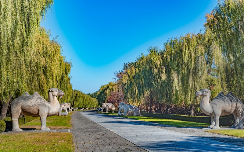 Seven World Cultural Heritage Sites in Ancient Capital Beijing_fororder_VCG211355260630