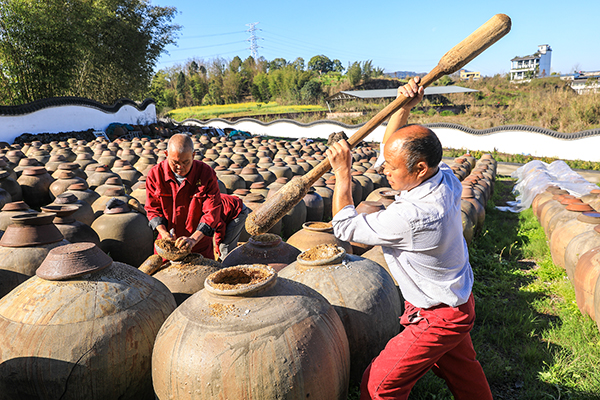 图集｜四川泸州：传统酿造产业助力乡村振兴_fororder_“五比一”酱油基地，工人在忙碌劳作1（摄影：李贵平）