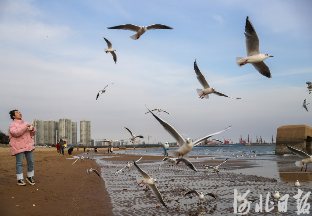 图片默认标题_fororder_2233