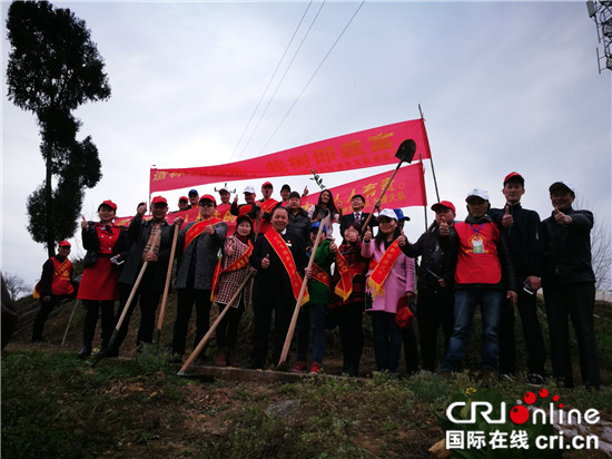 【CRI專稿 列表】重慶“紅櫻桃 春日植愛”志願行動：播種希望 為愛種植