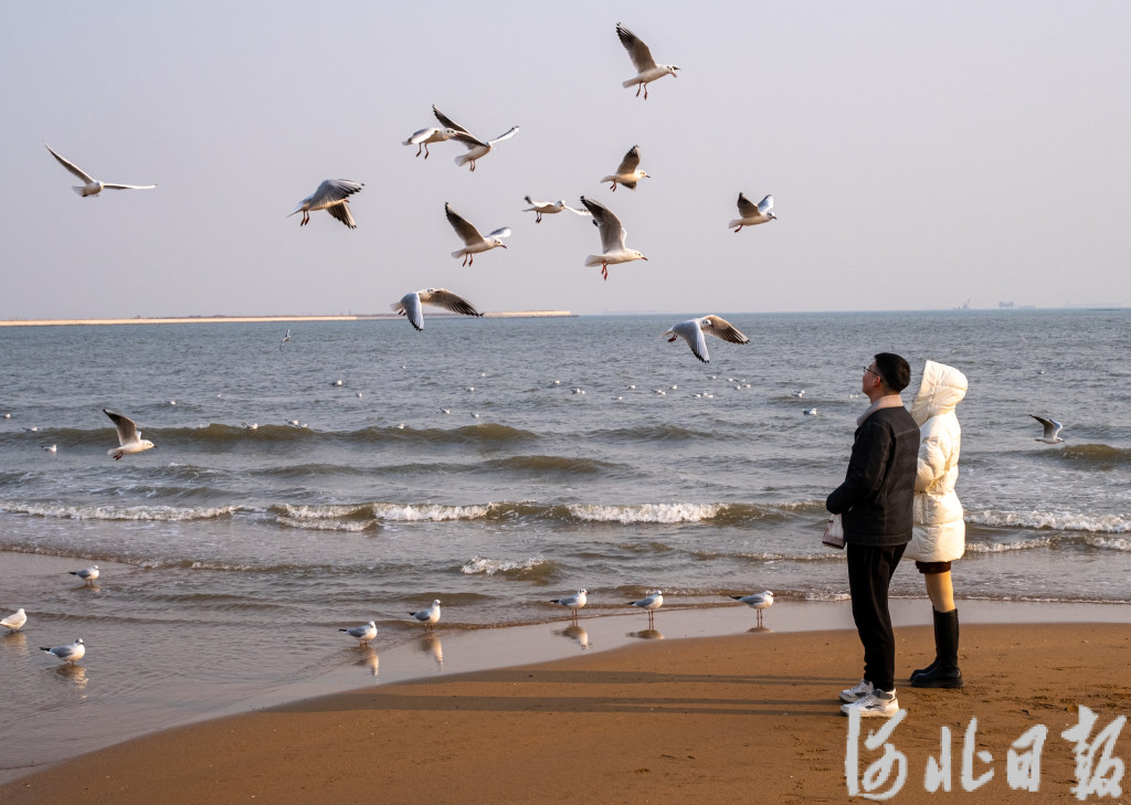 图片默认标题_fororder_2234