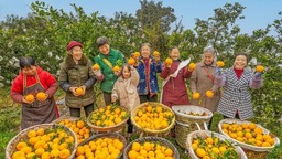 （转载）满园春光美 硕果醉游人