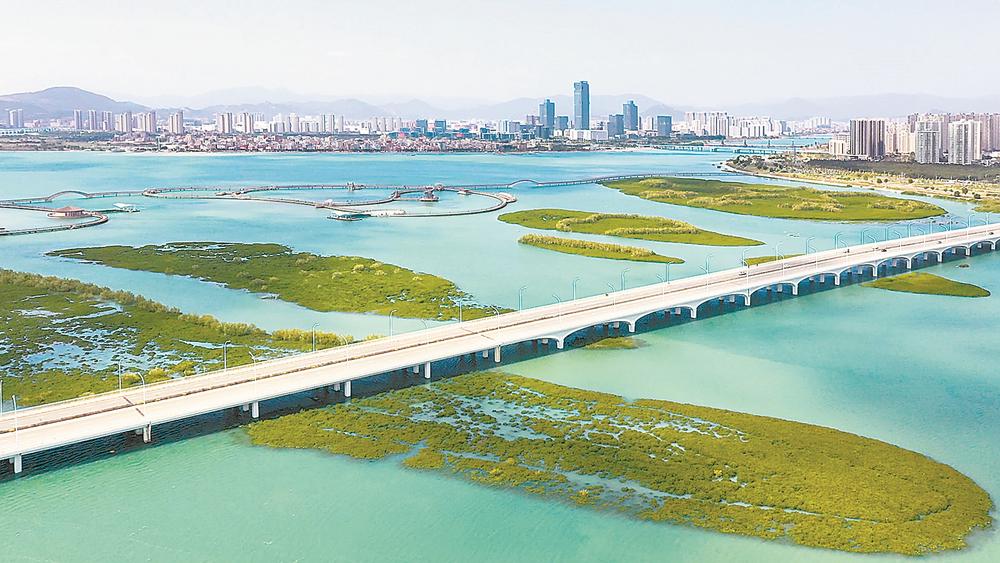 廈門：公園生態系統功能得到全面提升 吸引大批遊客觀光打卡_fororder_ac38dae0-a18f-44ea-a02c-6d83b0649f94