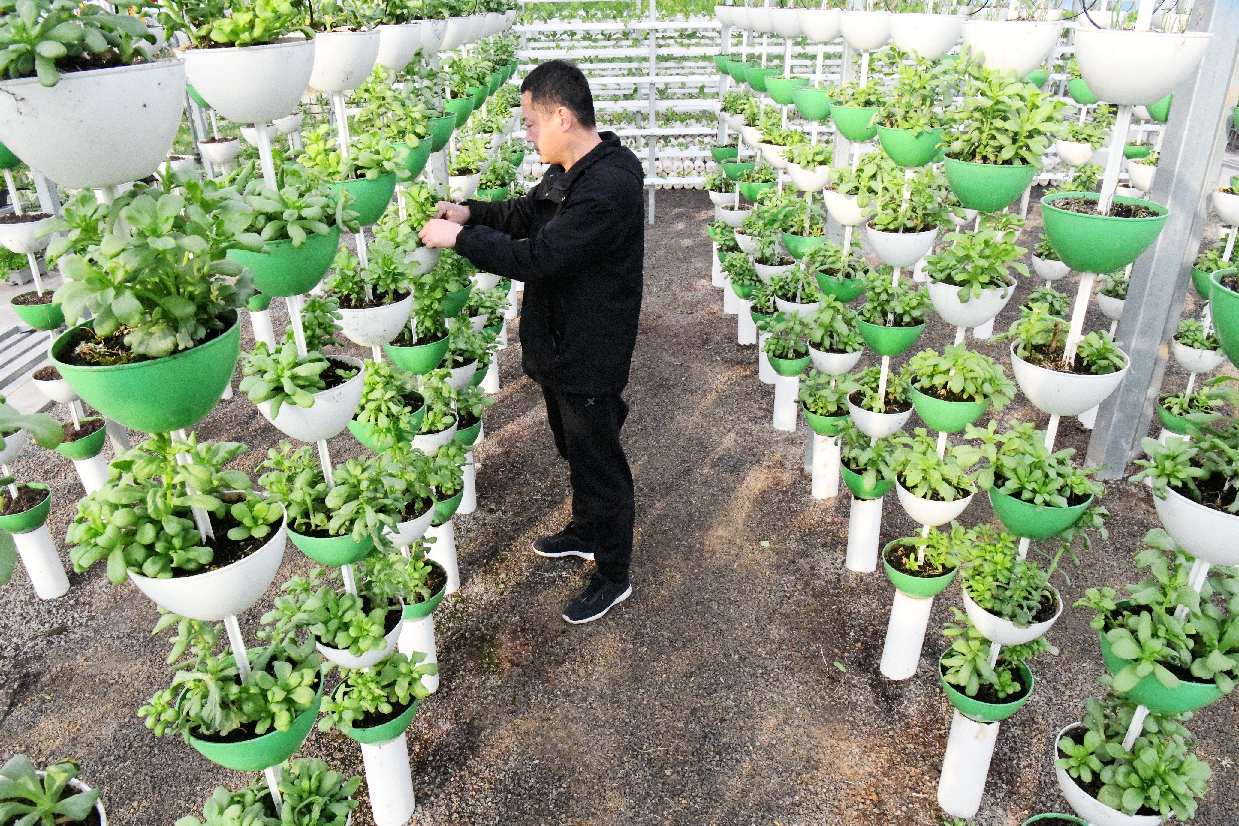 （原創）河北廣平：搶抓農時備春耕 不負春光田管忙_fororder_DSC_4778.JPG