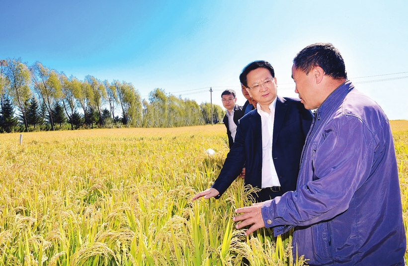 【头条】中国农民丰收节·吉林集安清河野山参节开幕