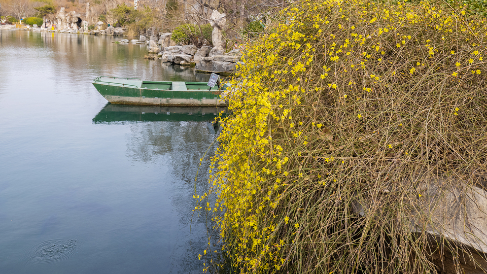 山东好景丨济南五龙潭春景妙不可言