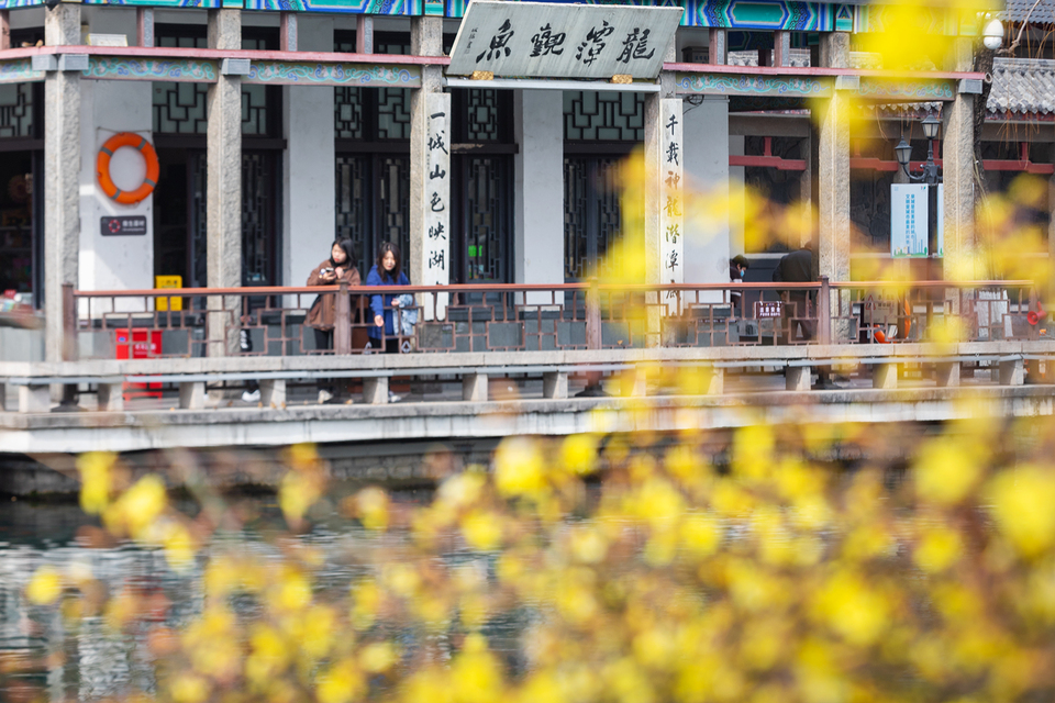 山东好景丨济南五龙潭春景妙不可言
