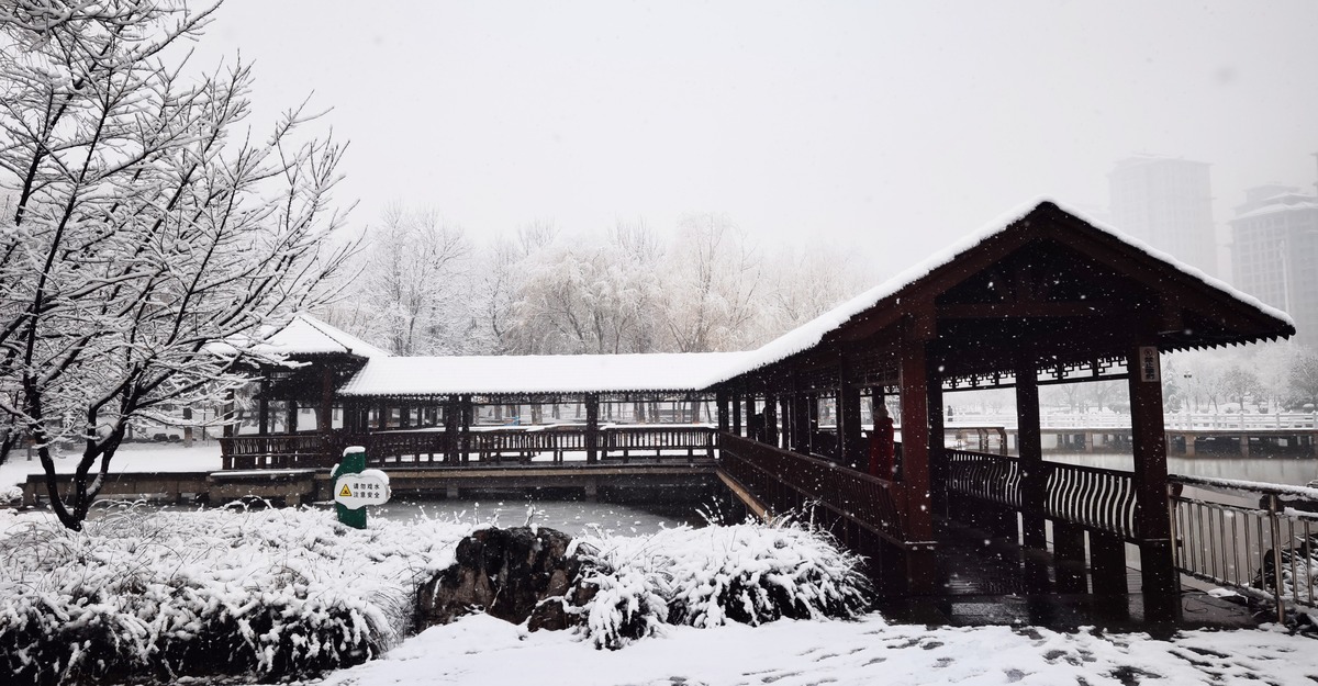 （原创）【组图】石家庄东环公园：雪景美如画