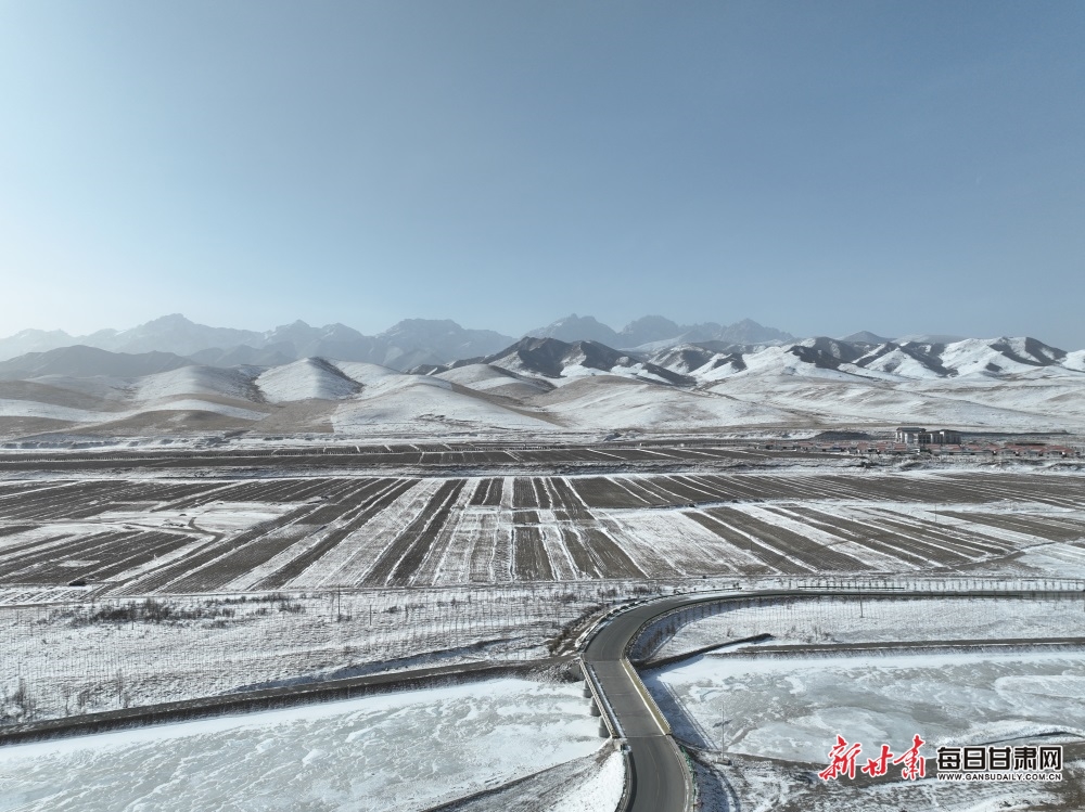 【轮播图】武威天祝草原成群狍鹿雪地悠闲“散步”_fororder_8