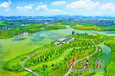 東莞今年啟動三座濕地公園建設