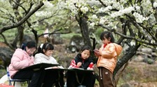 （中首）贵州黄平：小小画笔“绘”春色