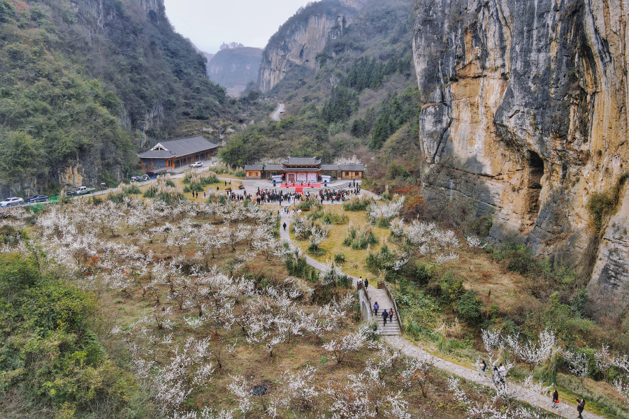 2023年“洞天福地·花海毕节”樱桃花果季启动仪式在毕节九洞天景区举行