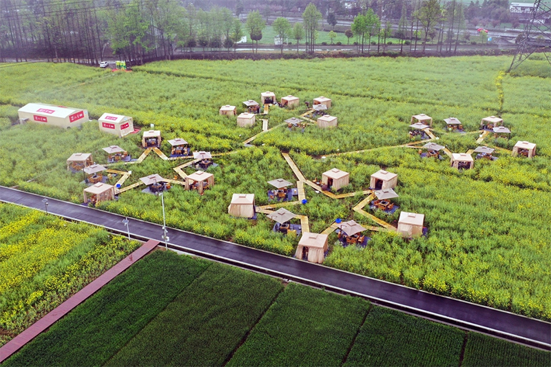 （转载）成都“天府粮仓”花田喜事多_fororder_未标题-1