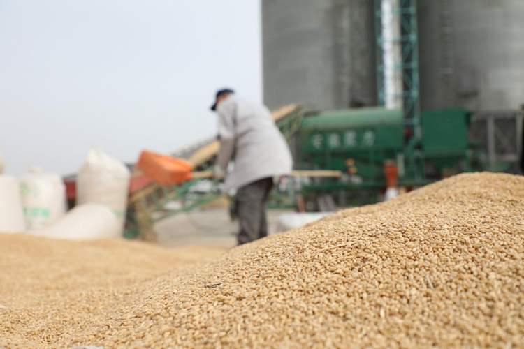 图片默认标题_fororder_图片2