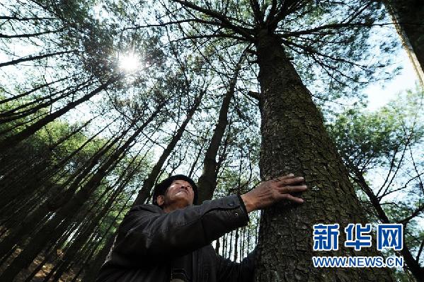 （大生态）贵州沙子坡林场：三代护林员守护一片“林海”