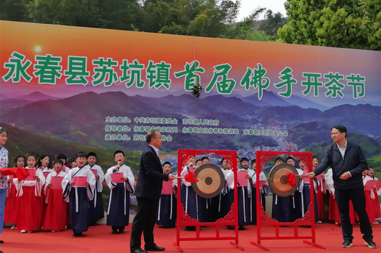 泉州市永春县苏坑镇举办首届佛手开茶节_fororder_图片5