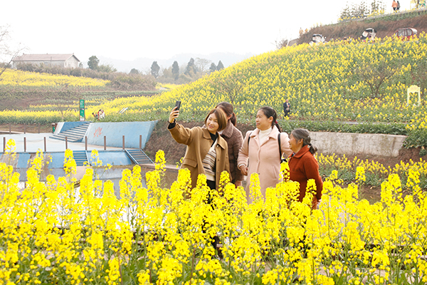 宜宾市翠屏区永兴镇第二届油菜花节开幕