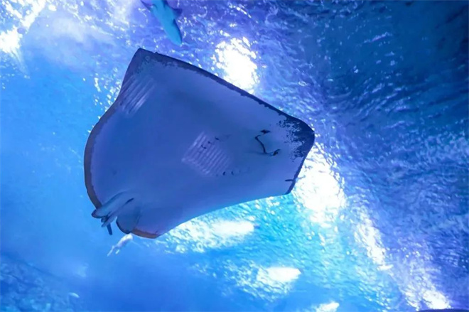 西安曲江新區：在研學中 遇見星辰大海_fororder_微信圖片_20230227170417