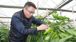 泉州惠安：多措並舉 台資農企“開花結果”