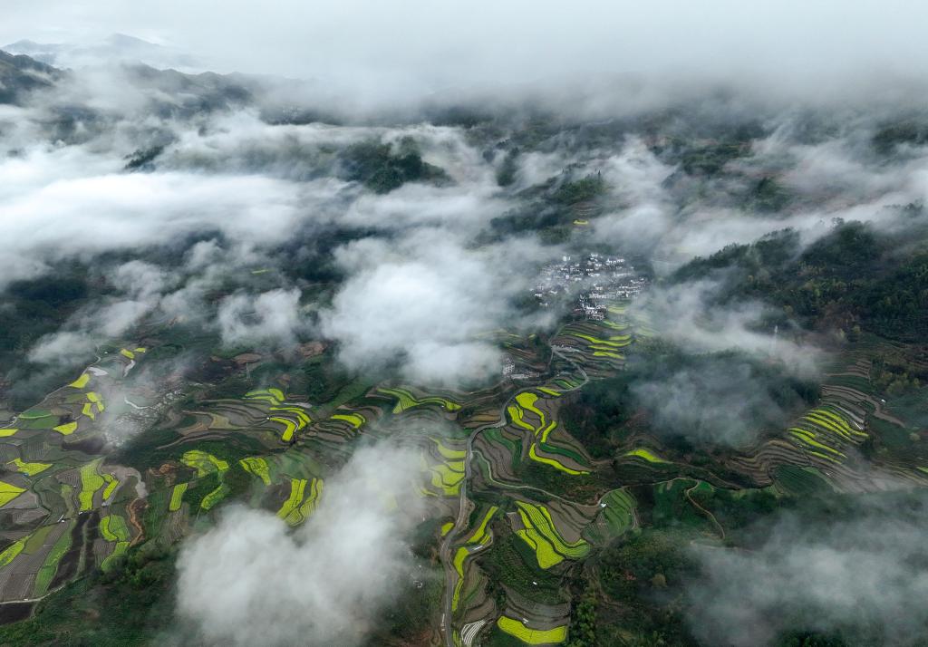 安徽黃山：雨後古村春色美