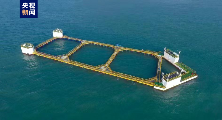 大海深处建粮仓 看广东发展海洋经济的“减法”“加法”“乘法”