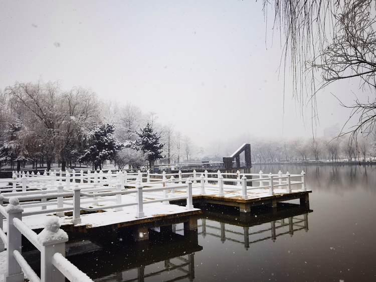 Donghuan-Park in Shijiazhuang bietet eine malerische Schneelandschaft_fororder_图片17