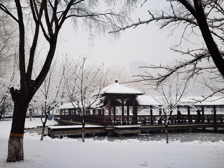 Donghuan-Park in Shijiazhuang bietet eine malerische Schneelandschaft_fororder_图片15