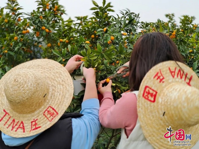 （转载）研学正当时！带孩子来新津快乐成长