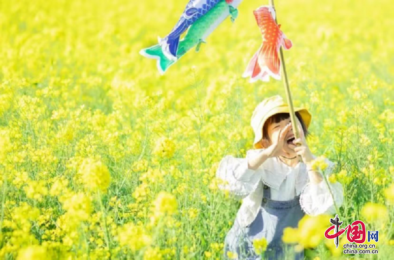 （转载）研学正当时！带孩子来新津快乐成长