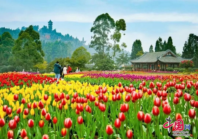 （转载）研学正当时！带孩子来新津快乐成长