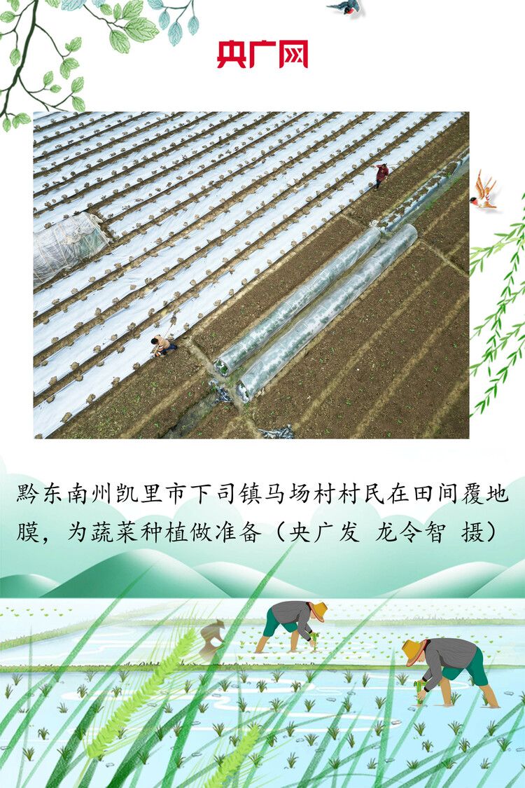 贵州：绘好“春耕图” 孕育“丰收景”