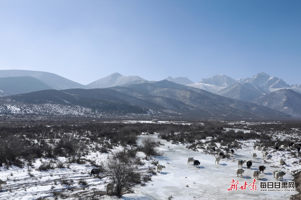 【轮播】武威天祝：雪山冰峰相拥 山峦草原宁静_fororder_3