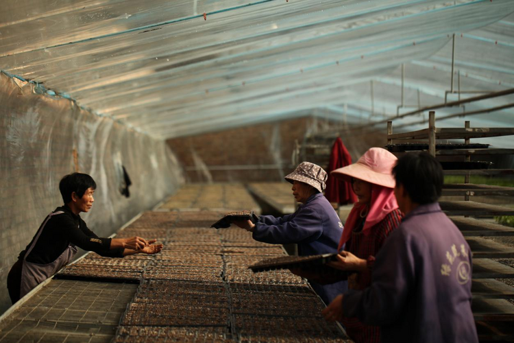 圖片默認標題_fororder_33