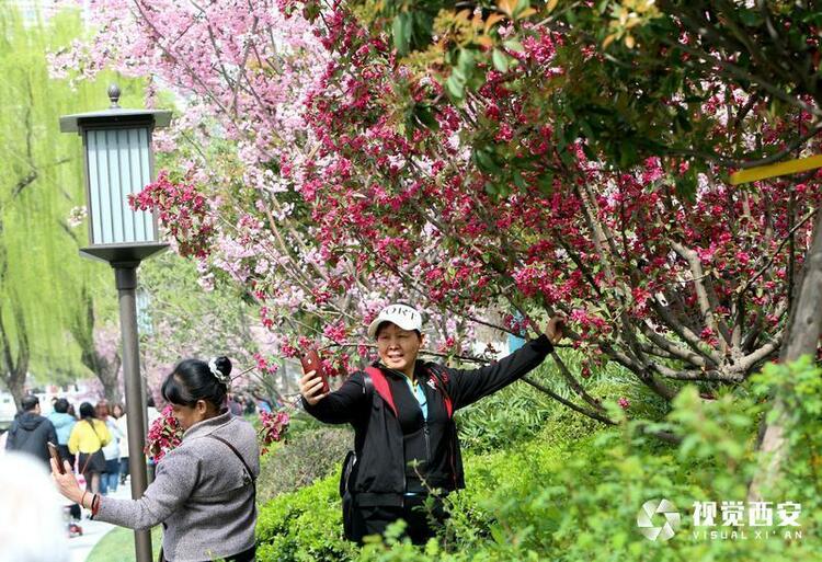 兴庆宫公园花如海 人似潮