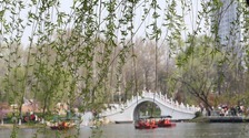 興慶宮公園花如海 人似潮