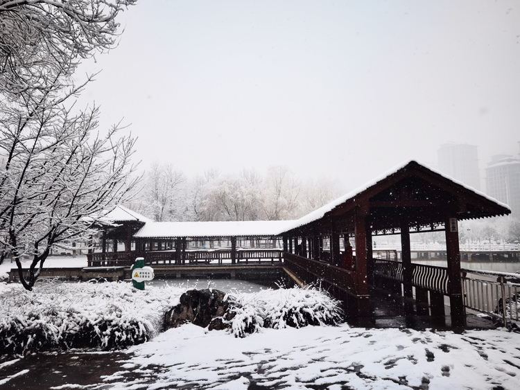 حديقة دونغ هوان بمدينة شي جيا تشوانغ: مناظر الثلوج جميلة مثل لوحات فنية_fororder_图片16