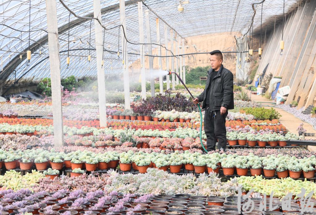 河北：田野播耕新希望_fororder_5