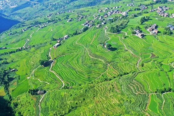 （张）泸州古蔺：三色经济促发展 文旅融合产业兴_fororder_德耀镇万亩梯田航拍图