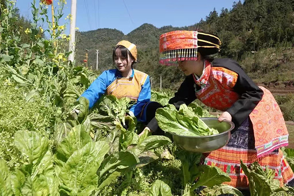 （张）泸州古蔺：苗家石磨菜豆花，磨出春日好时光_fororder_微信图片_20230328010820